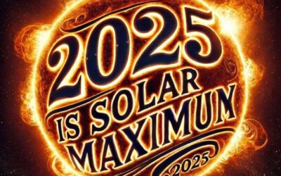 THE SOLAR MAXIMUM