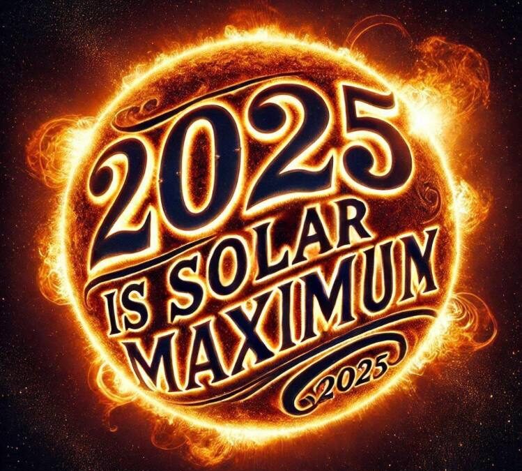 THE SOLAR MAXIMUM