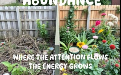ABUNDANCE